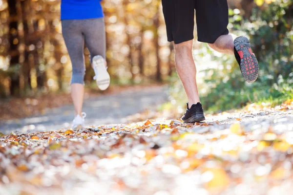 Las piernas de los corredores en el bosque de otoño — Foto de Stock