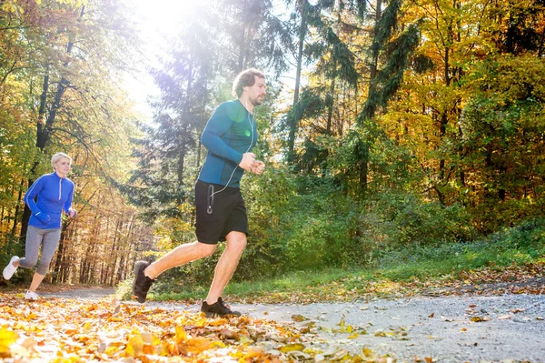 Casal correndo na floresta de outono — Fotografia de Stock