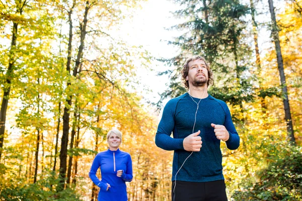 Couple running in autumn forest — Stock Photo, Image