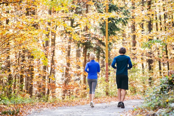 Paar läuft im Herbstwald — Stockfoto