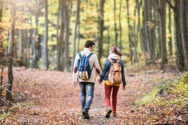Sonbahar ormandaki bir yolda güzel Çift