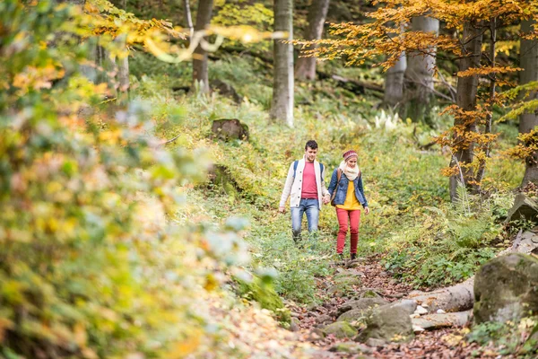 Beau couple lors d'une promenade dans la forêt d'automne ensoleillée — Photo