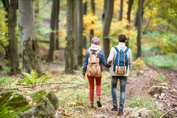 Vackra par på en promenad i höst skog — Stockfoto