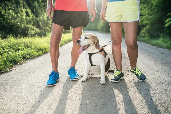 Köpek dış ile kıdemli koşucu — Stok fotoğraf