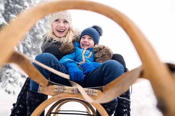 Mãe com filho no trenó. Névoa branca inverno natureza . — Fotografia de Stock