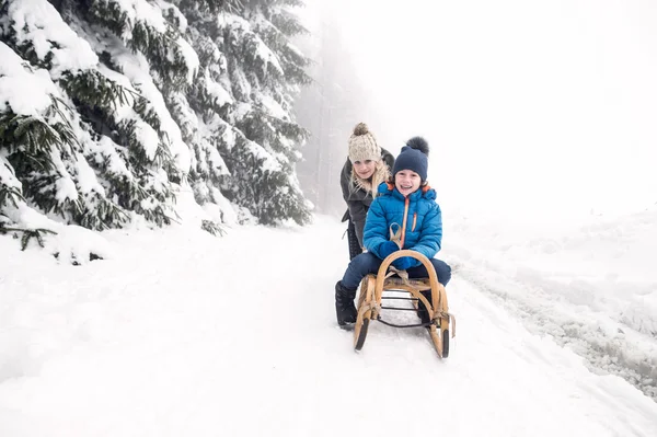 Mother pushing son on sledge. Foggy white winter nature. — Stock Photo, Image