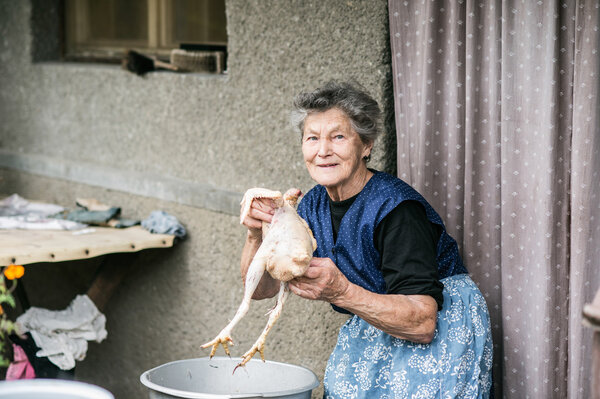 Senior woman cleaning and washing chicken.