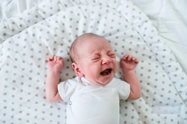 Bayi laki-laki yang baru lahir berbaring di tempat tidur — Stok Foto