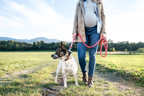 Femme enceinte avec chien dans la nature verte — Photo