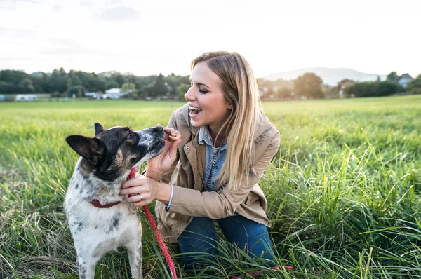 Женщина с собакой в зеленой природе — стоковое фото