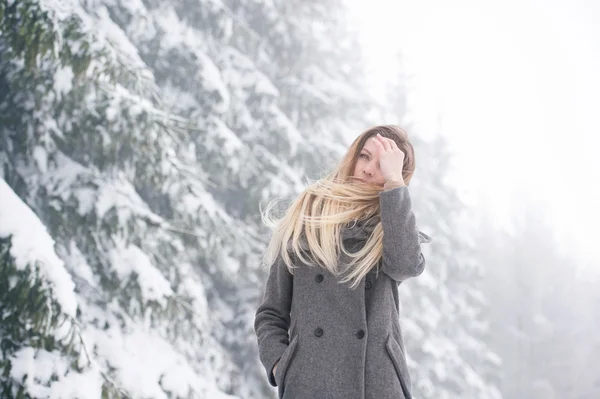 Jovem mulher em passeio na natureza de inverno — Fotografia de Stock