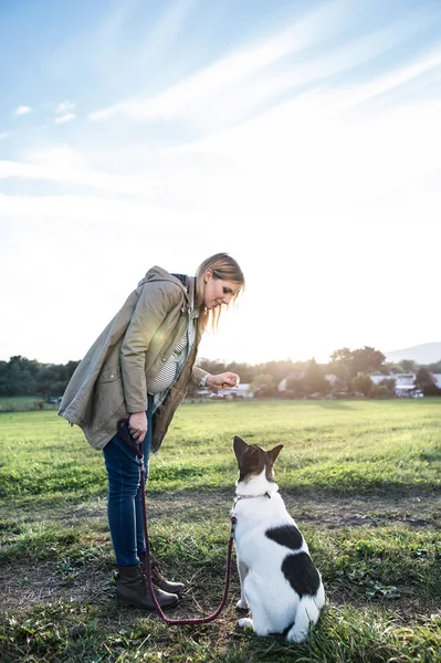 Vacker gravid kvinna med hund i grön soliga natur — Stockfoto