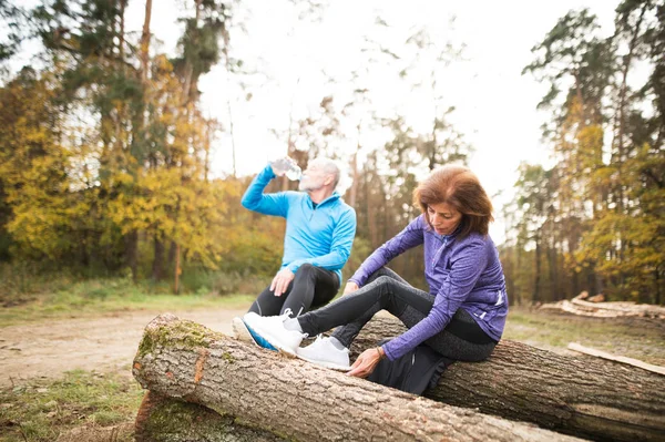 Vezető futók ül a fa tuskók, pihenő, ivóvíz. — Stock Fotó
