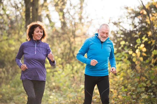 Beautiful senior couple running outside in sunny autumn forest — Stock Photo, Image