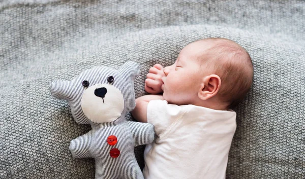 Newborn baby boy lying on bed with teddy bear, sleeping — Stock Photo, Image