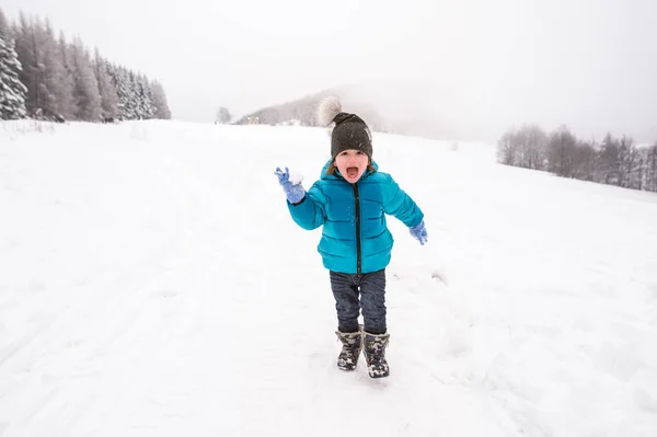 Ładny mały chłopiec gry na zewnątrz w zimowej przyrody — Zdjęcie stockowe