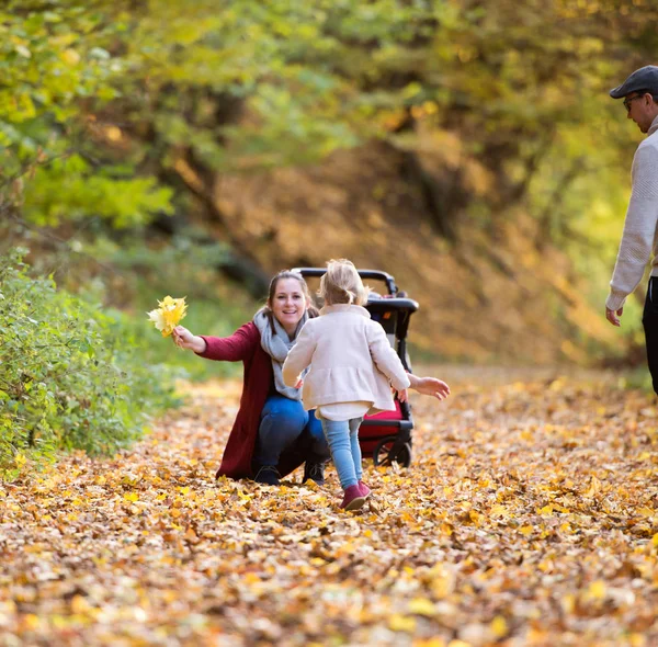 Vacker ung familj på en promenad i höst skog. — Stockfoto