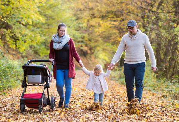Hermosa familia joven en un paseo en el bosque de otoño . — Foto de Stock