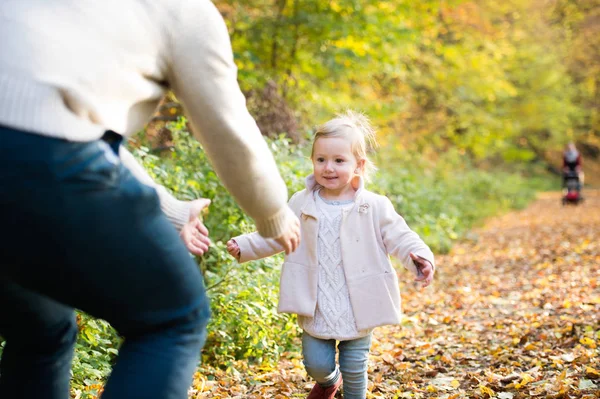 Una bambina che corre da suo padre. Foresta autunnale colorata . — Foto Stock