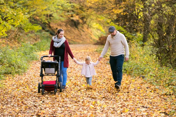 Piękna młoda rodzina na spacerze w lesie jesienią. — Zdjęcie stockowe