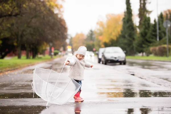 Niña jugando con paraguas transparente afuera, día lluvioso —  Fotos de Stock