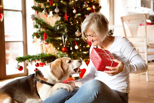 Senior woman with her dog opening Christmas presents. — Stock Photo, Image