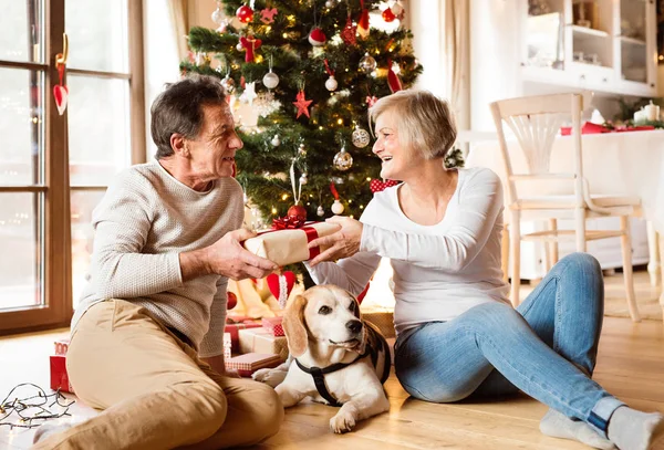 Seniorenpaar vor Weihnachtsbaum mit Geschenken. — Stockfoto
