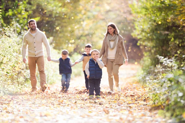 Mooie jonge gezin op een wandeling in de herfst bos. — Stockfoto