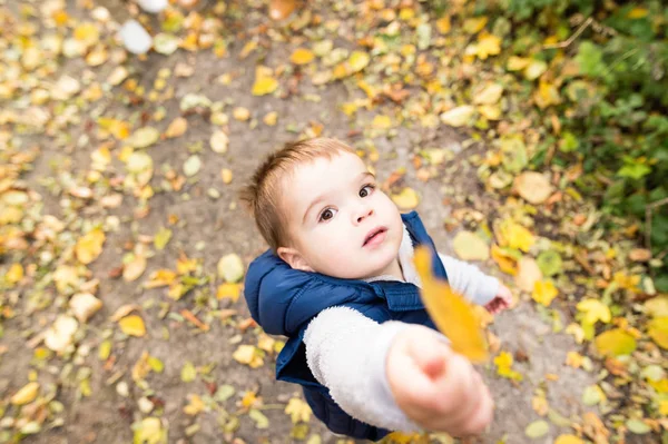 Niedliche kleine Junge draußen in der Natur an einem sonnigen Tag — Stockfoto