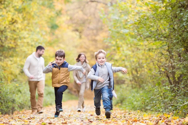 Schöne junge Familie auf einem Spaziergang im herbstlichen Wald. — Stockfoto