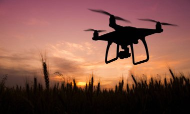 Vurgulama dron günbatımında doğa fotoğraflarını silüeti