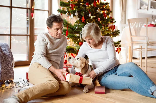 Äldre par framför julgranen med presenter. — Stockfoto