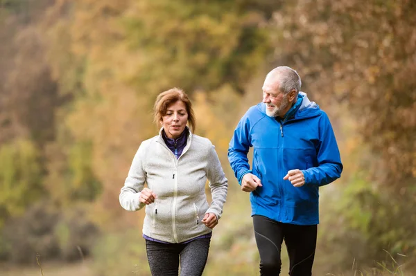 Hermosa pareja de ancianos corriendo afuera en el soleado bosque de otoño — Foto de Stock