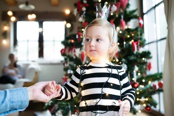 Father with daugter tangled up in light chain at Christmas tree. — Stock Photo, Image