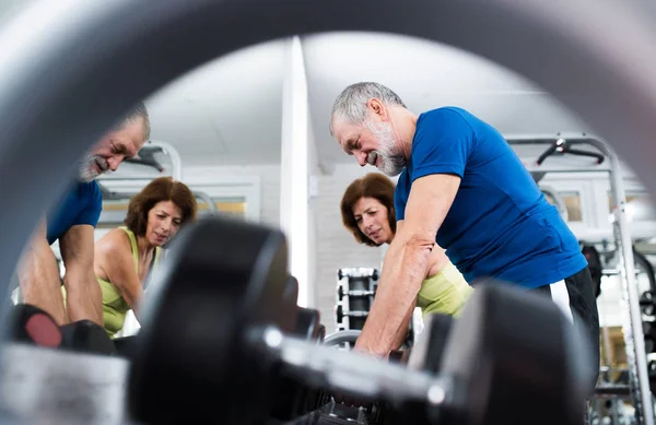 Senioren-Paar trainiert im Fitnessstudio mit Gewichten — Stockfoto