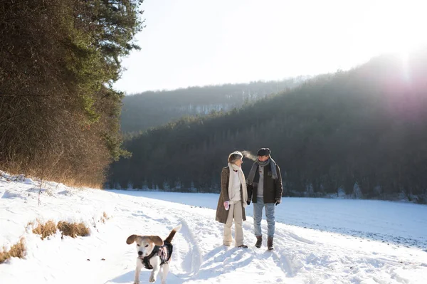 Hermosa pareja de ancianos en un paseo en el soleado día de invierno — Foto de Stock