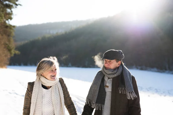 Beautiful senior couple on a walk on sunny winter day — Stock Photo, Image