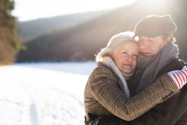 맑은 겨울 날에 산책에 아름 다운 수석 부부 — 스톡 사진