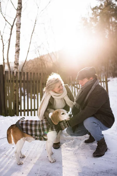 Beautiful senior couple on a walk on sunny winter day — Stock Photo, Image