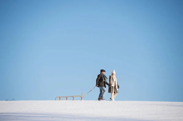 美丽的高级夫妇步行拉雪橇，冬季的一天. — 图库照片