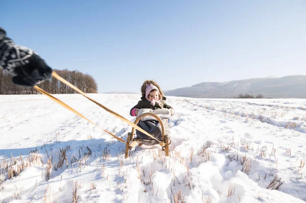 Мати тягне дочку на санях. Сонячно біла зимова природа . — стокове фото