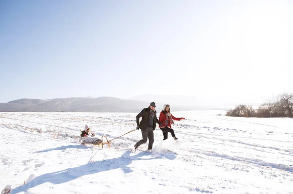 Père et mère tirant leur fille sur luge, courant. Hiver na — Photo