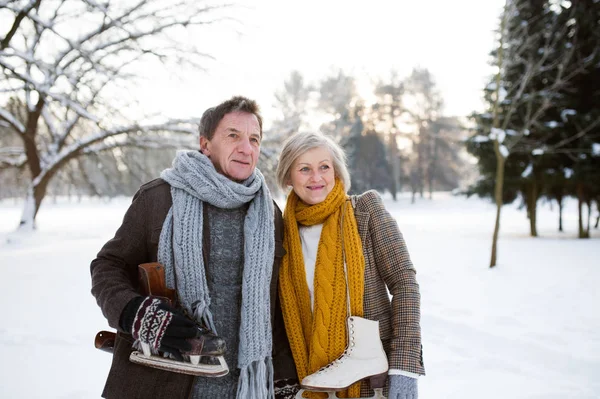 Pareja mayor en la soleada naturaleza invernal patinando sobre hielo . — Foto de Stock