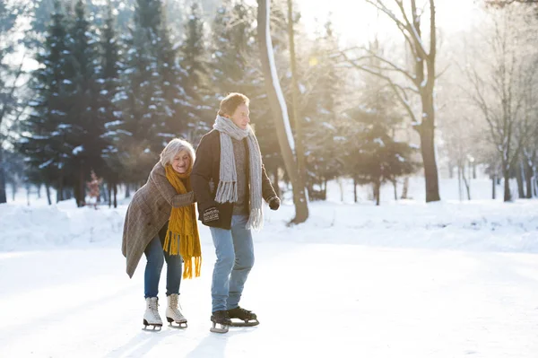 在阳光灿烂的冬天自然溜冰的年长夫妇. — 图库照片