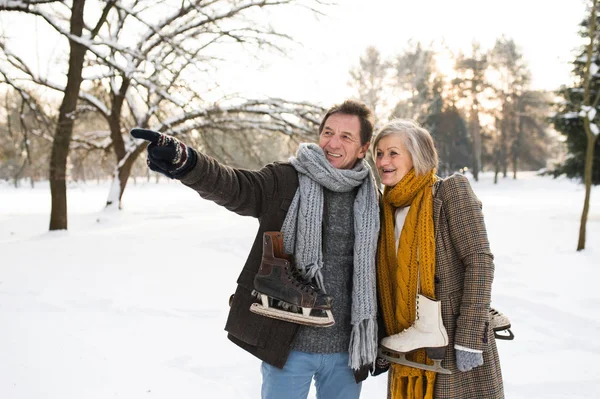 Äldre par i vinter natur med skridskor kommer att rinken. — Stockfoto