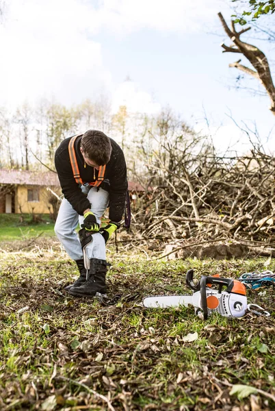 Lumberjack att sätta på en sele som går att beskära ett träd. — Stockfoto