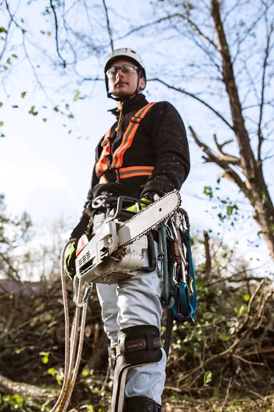 Lumberjack with chainsaw and harness going to prune a tree. — Stock Photo, Image