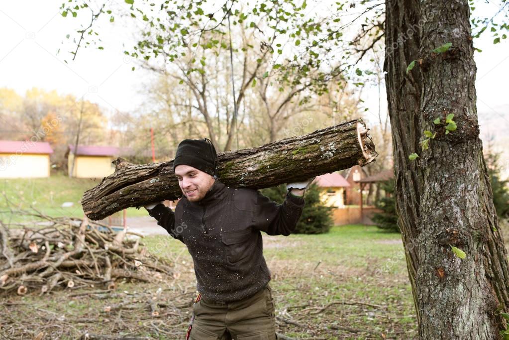 Man carrying tree trunk on his shoulders for heating in winter.