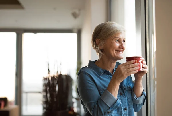 Старша жінка біля вікна тримає чашку кави — стокове фото