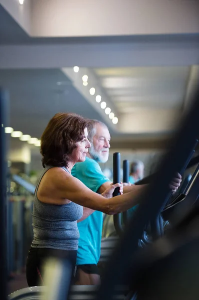 Hermosa pareja de ancianos en forma en el gimnasio haciendo ejercicio cardiovascular . — Foto de Stock
